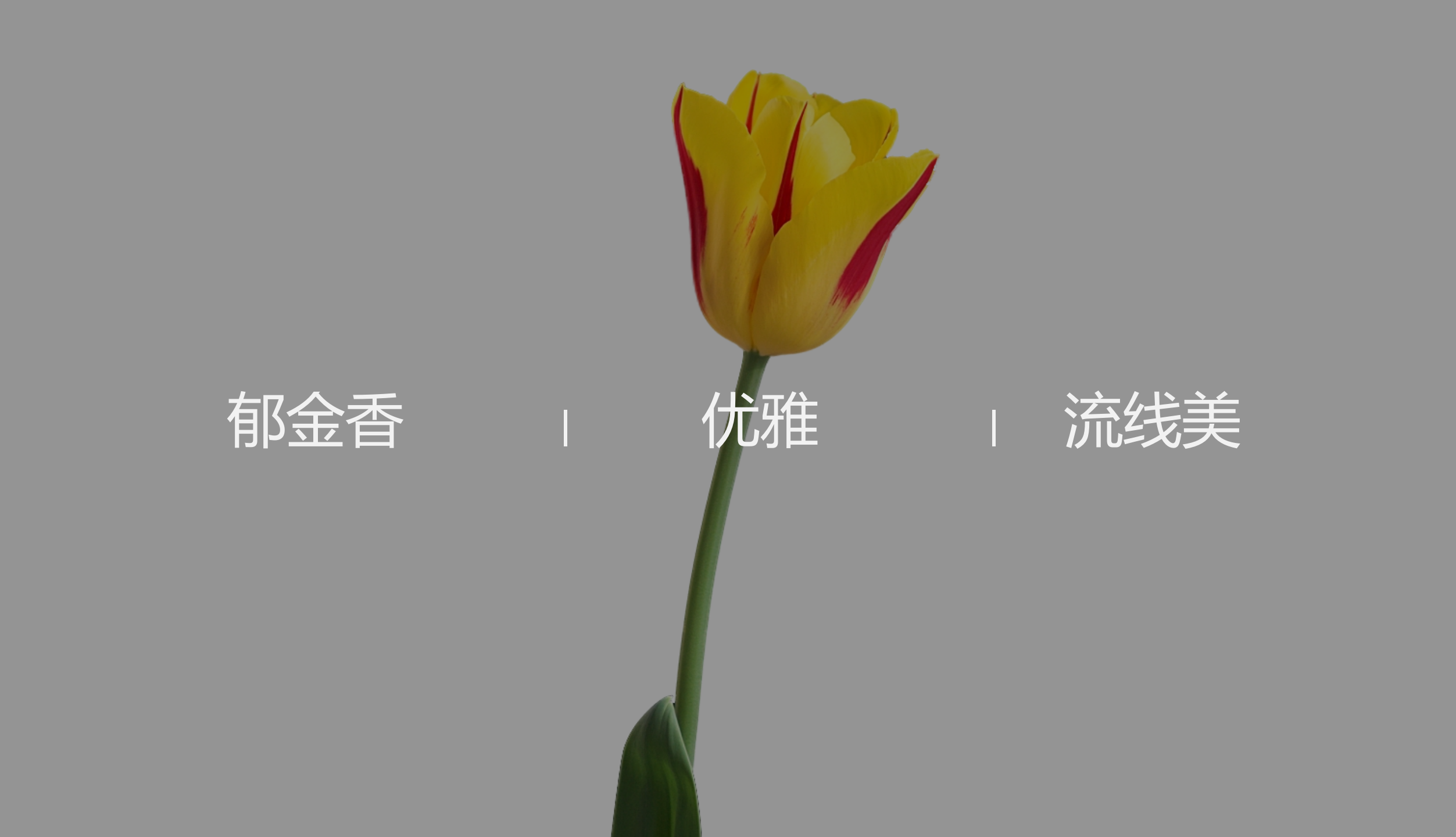 iphone，Mobile phone set，Digital intelligence，