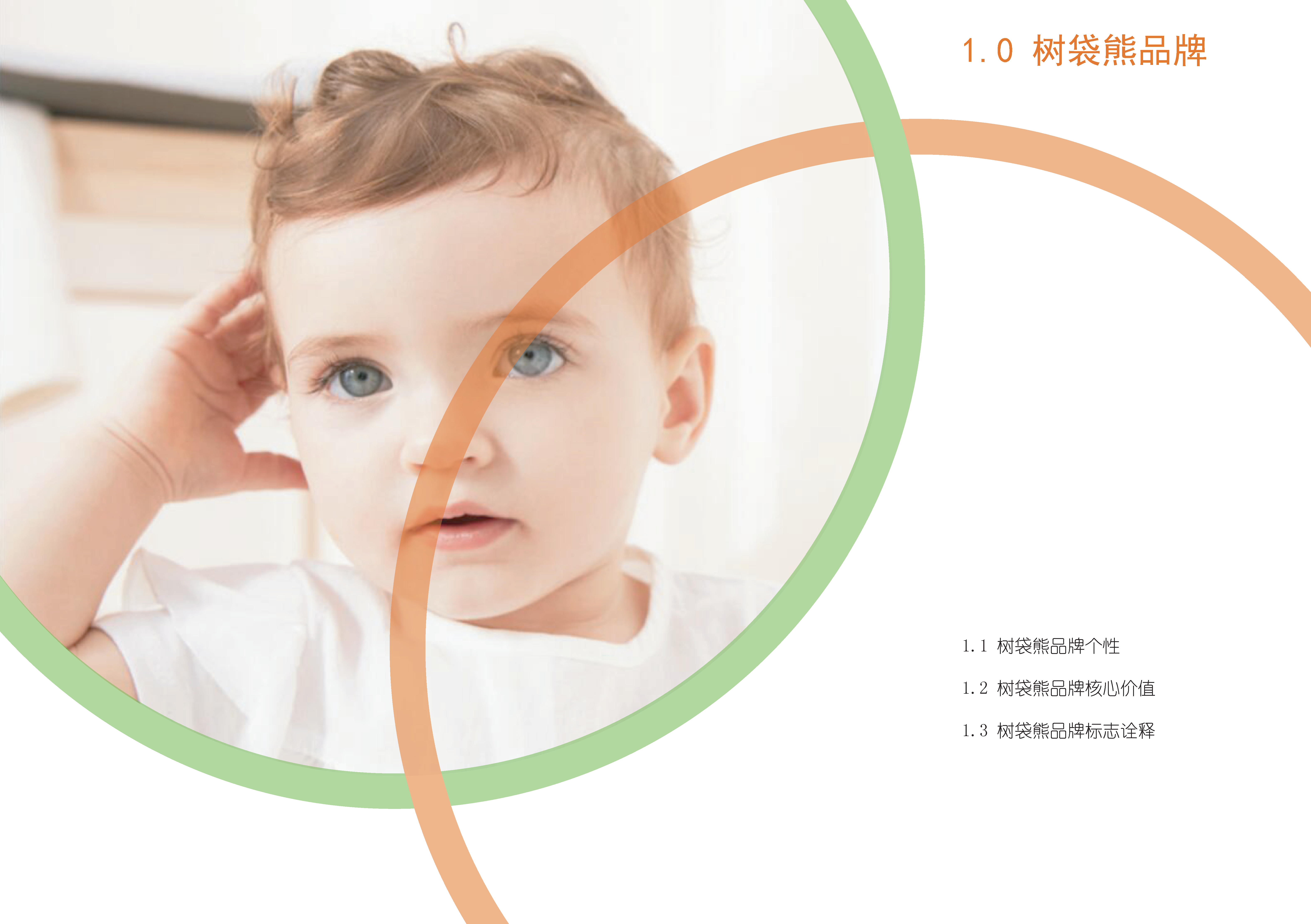 VI manual，Graphic Artist Designer，