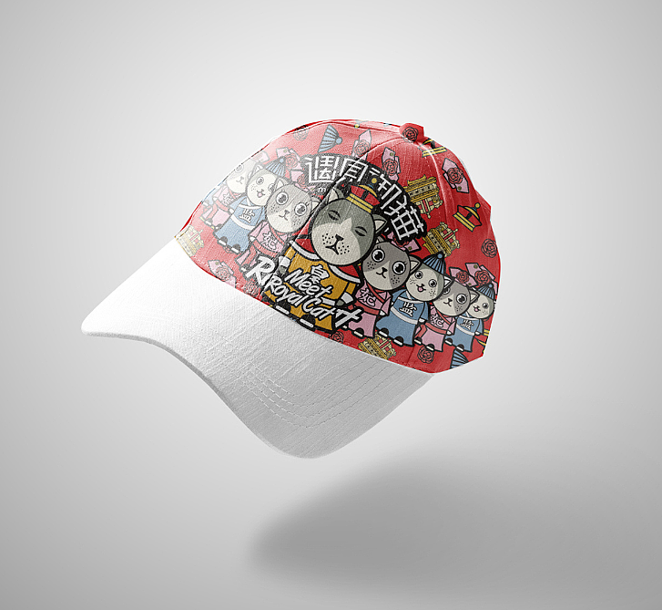 Design of IP cartoon mascot of "meet the Royal cat"，