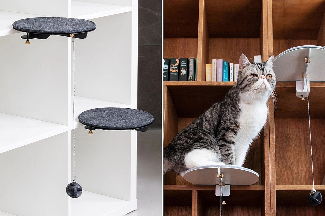 Table，to work in an office，Pets，cat，