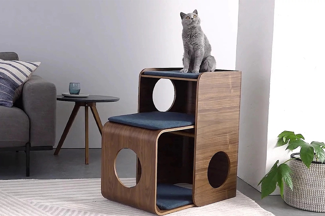 Table，to work in an office，Pets，cat，