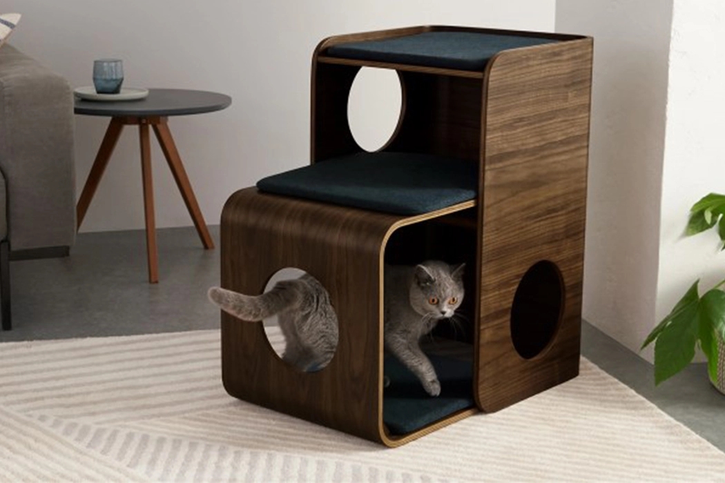 Table，to work in an office，Pets，cat，