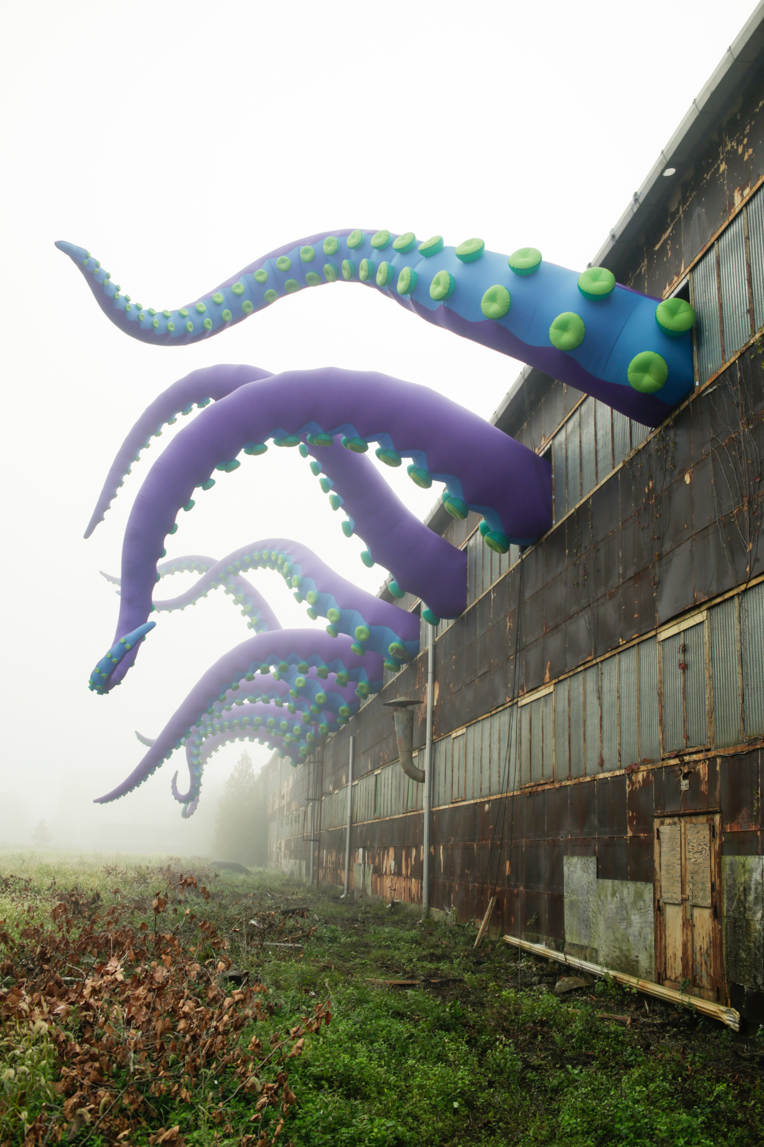 Inflatable sea monster，Sculpture，