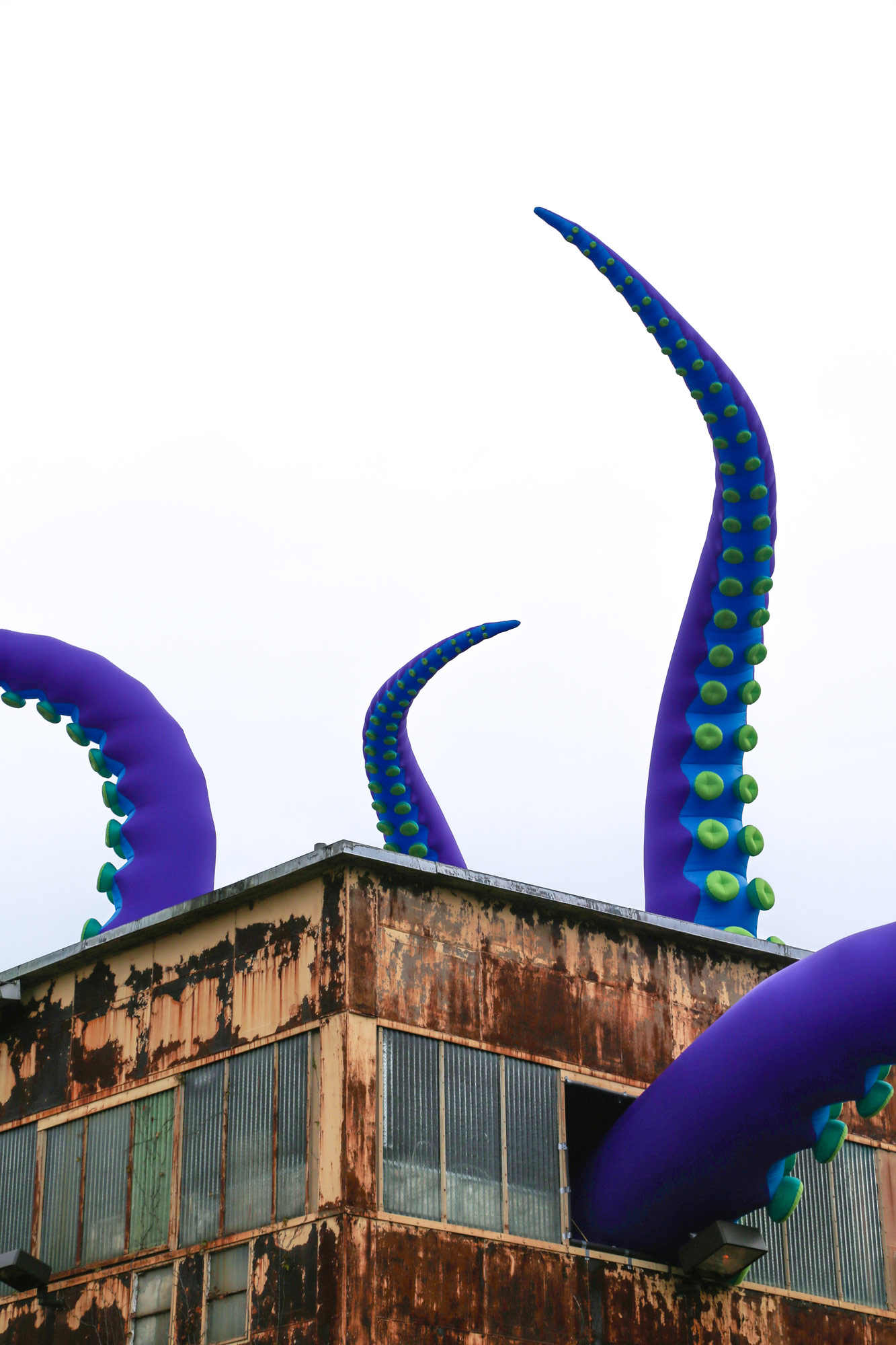 Inflatable sea monster，Sculpture，