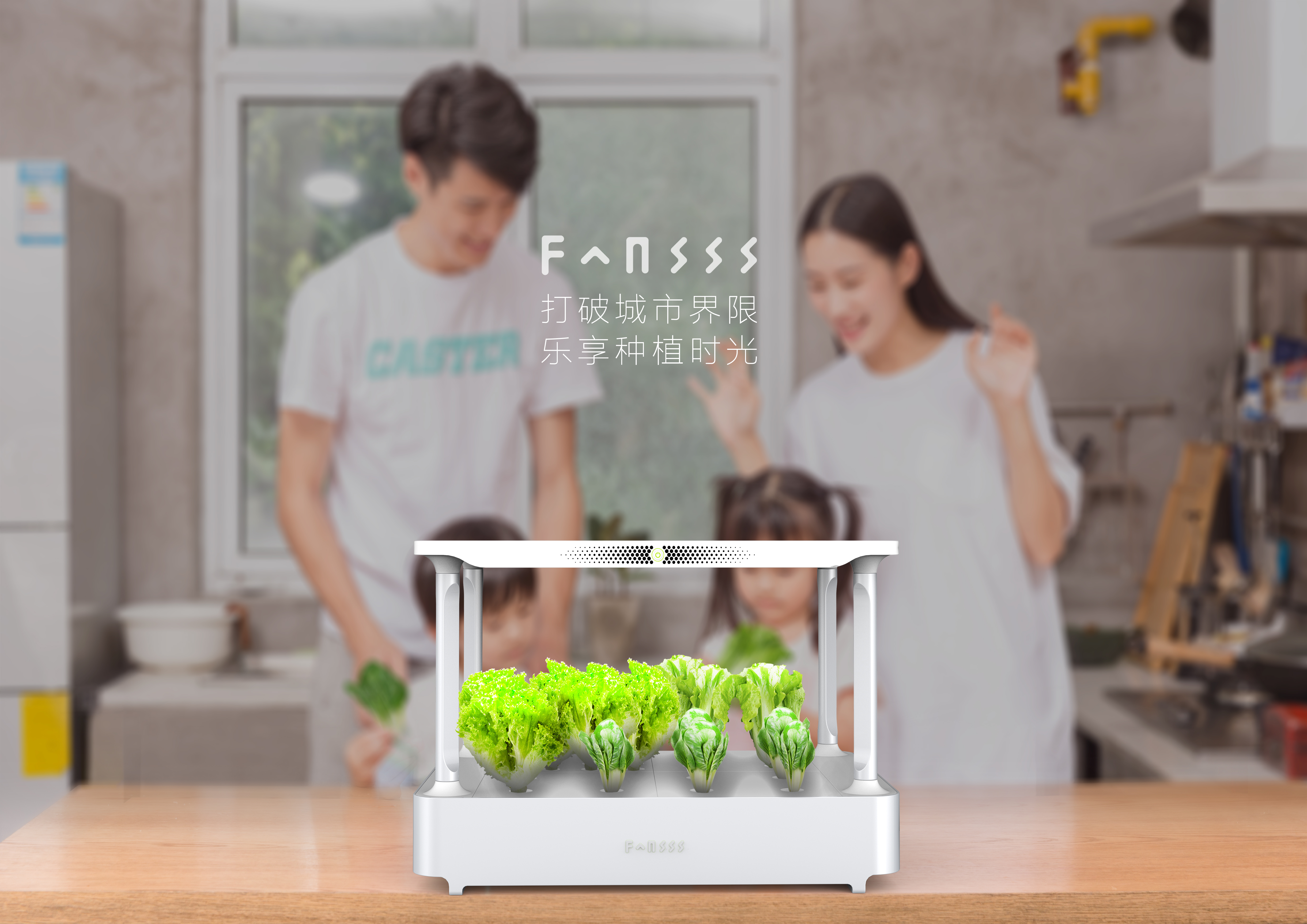 Vegetable planting, soilless cultivation, new household appliances，