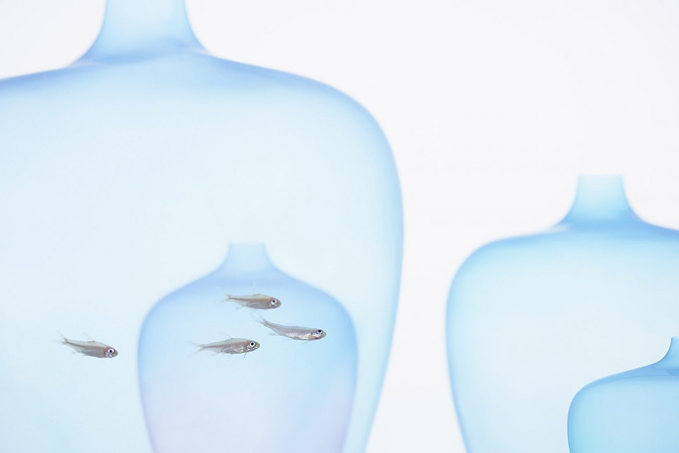 vase，jellyfish，industrial design，