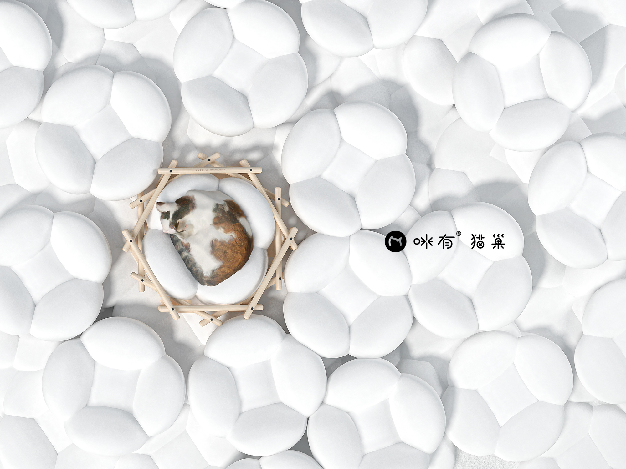 Kitty，cat，Cat nest，Cat nest，Mi you，Pet Supplies & Pet，Pets，Pet nest，