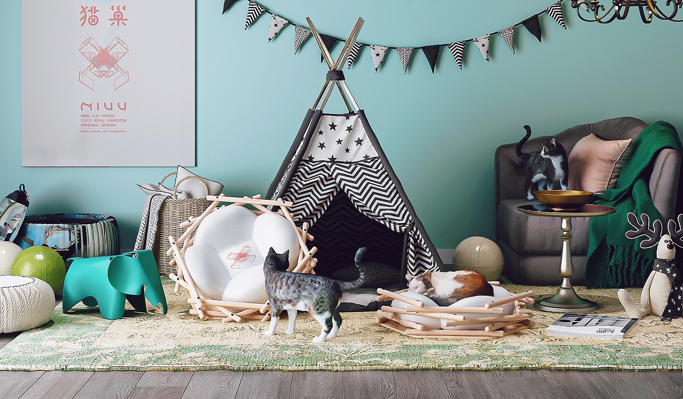 Kitty，cat，Cat nest，Cat nest，Mi you，Pet Supplies & Pet，Pets，Pet nest，