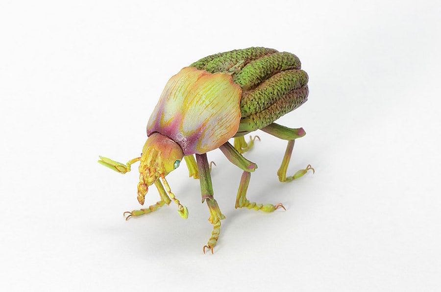 insect，