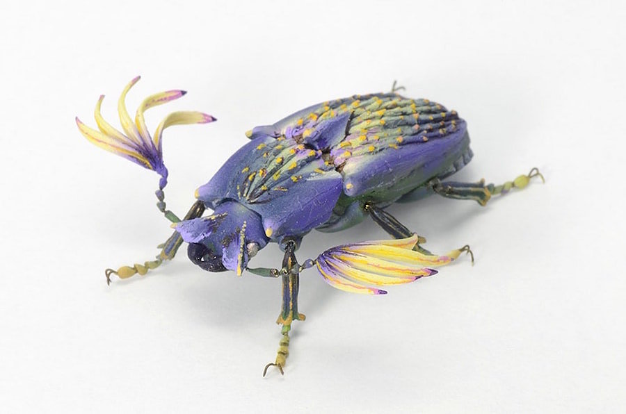 insect，