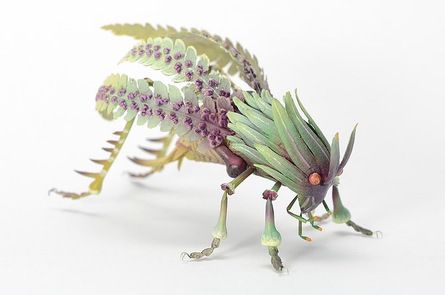 insect，