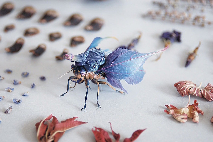 insect，