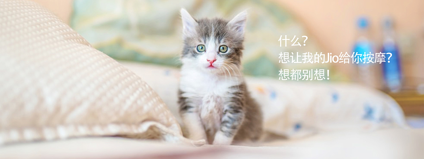 可爱，猫爪，