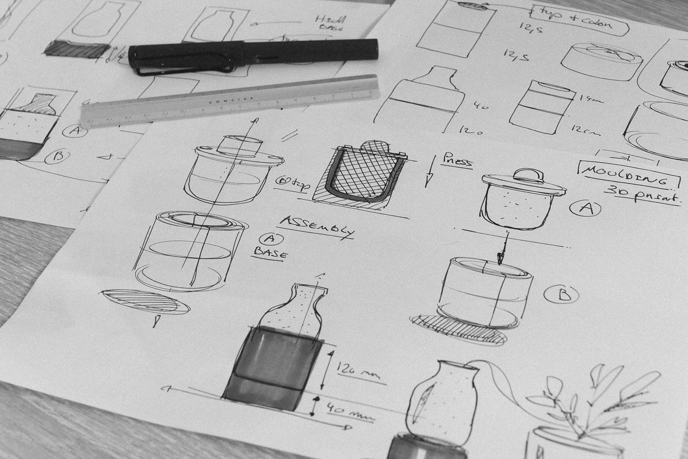 shell，ocean，waste material，garbage，