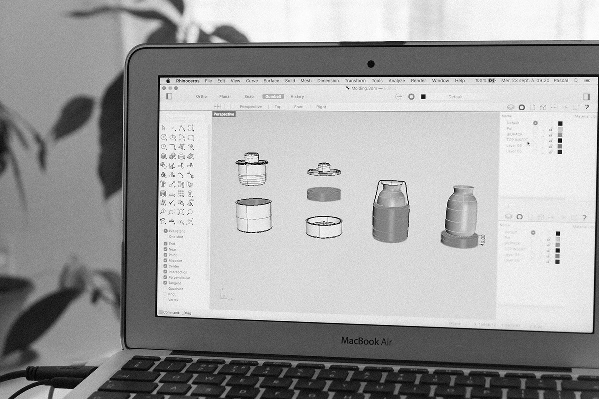 shell，ocean，waste material，garbage，