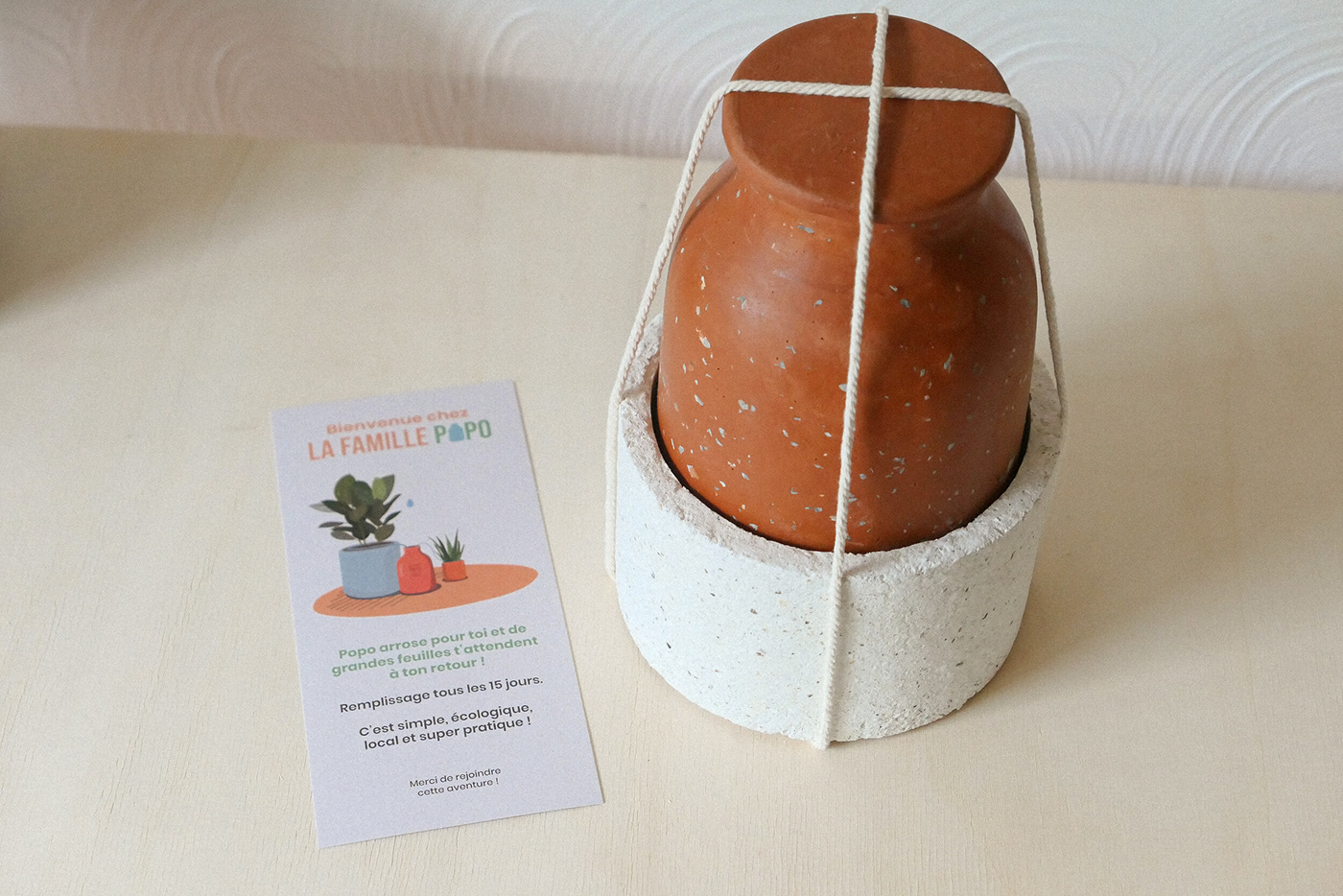 shell，ocean，waste material，garbage，