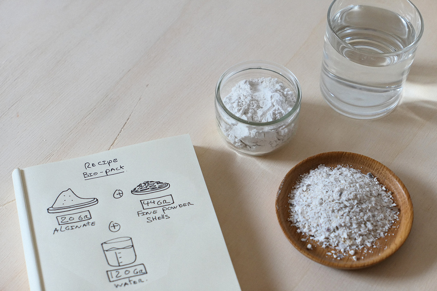 shell，ocean，waste material，garbage，