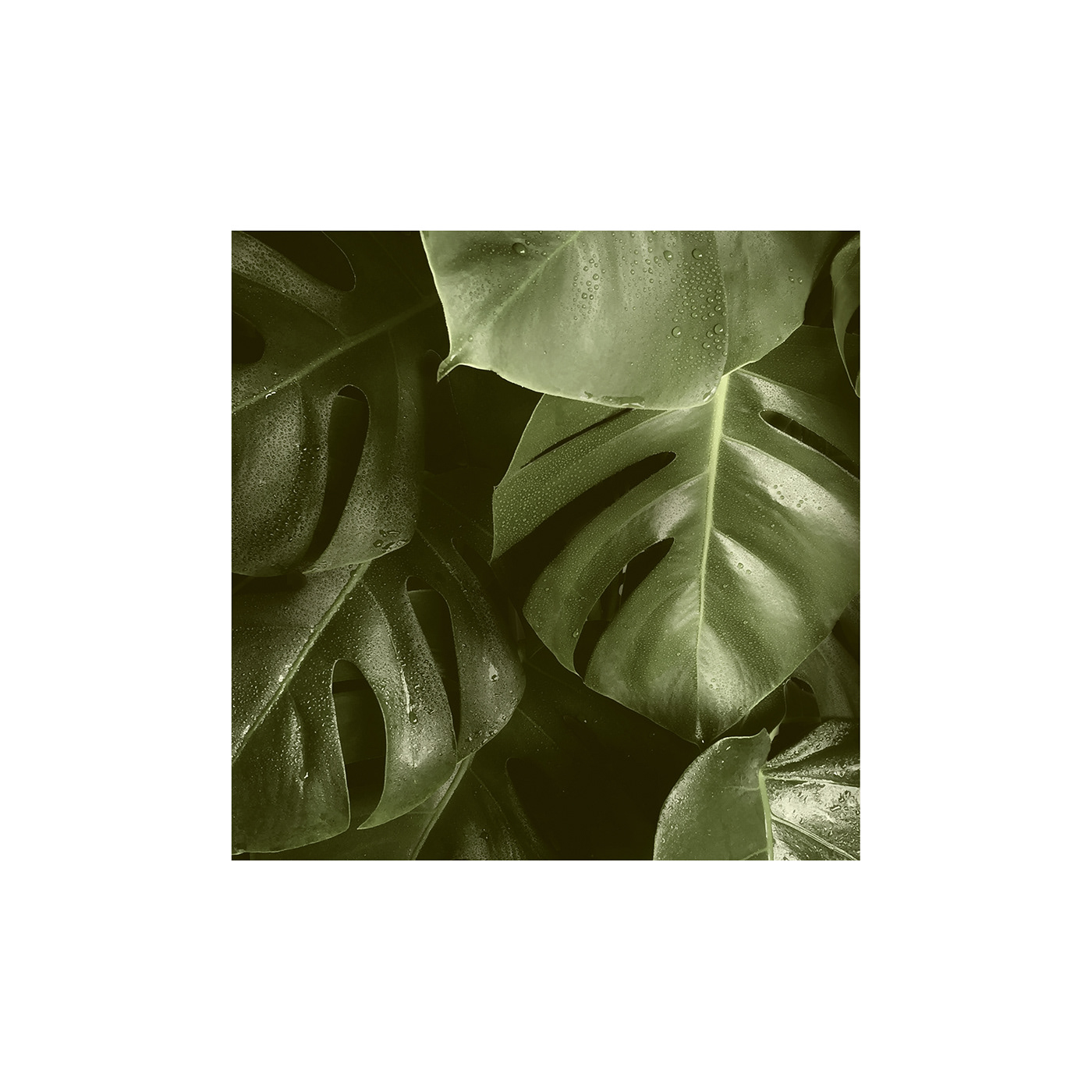 Paravel，AVIATOR，trunk，Sustainable design，