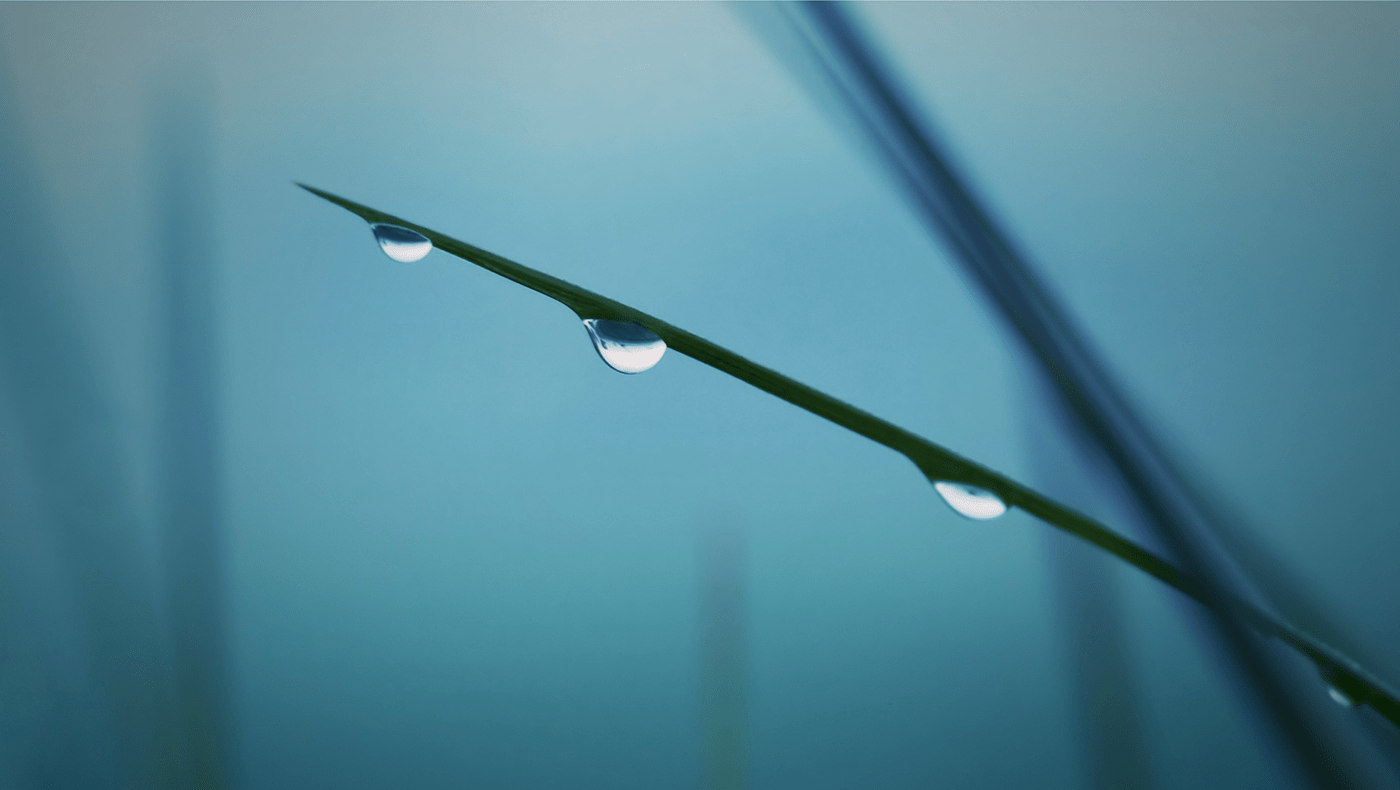 DEWDROP，Water purifier，leaf，curve，Provincial space，
