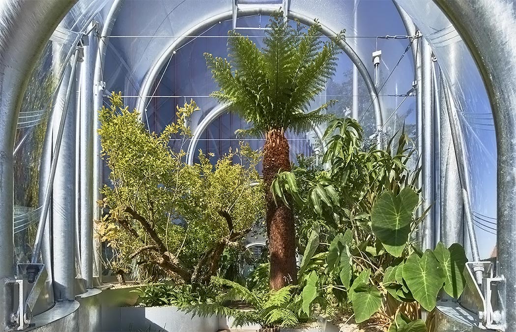 greenhouse，climate，Corn，crops，