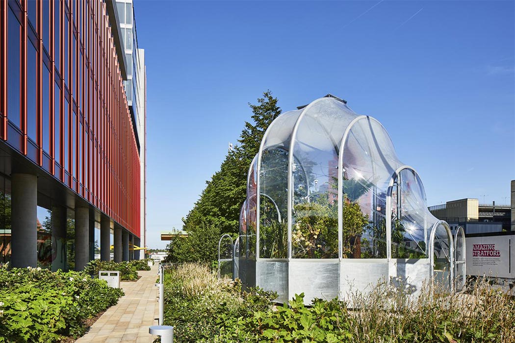 greenhouse，climate，Corn，crops，