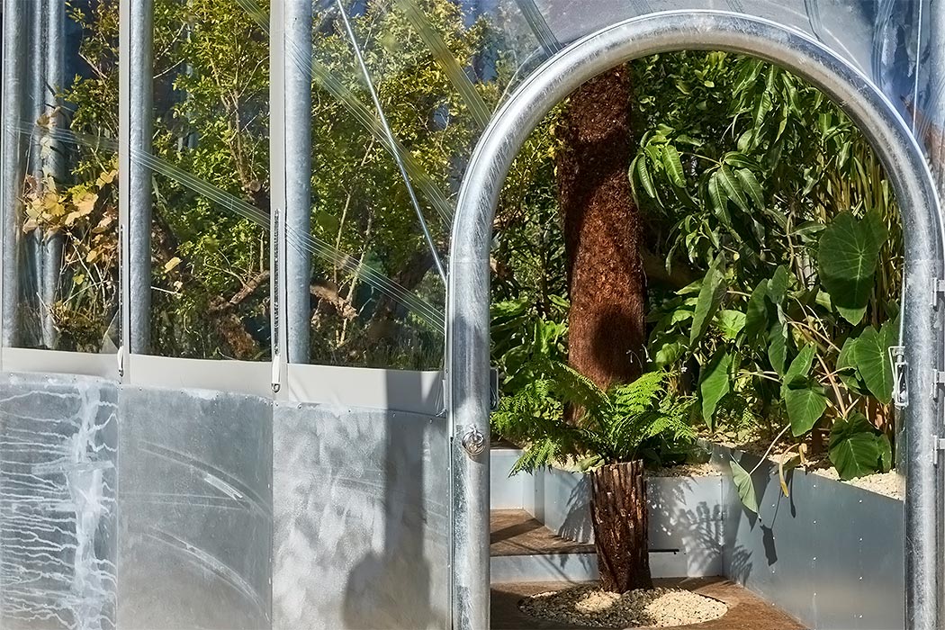 greenhouse，climate，Corn，crops，