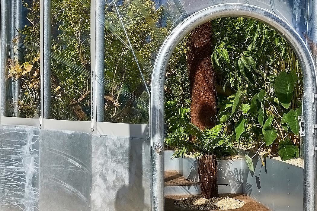 greenhouse，climate，Corn，crops，