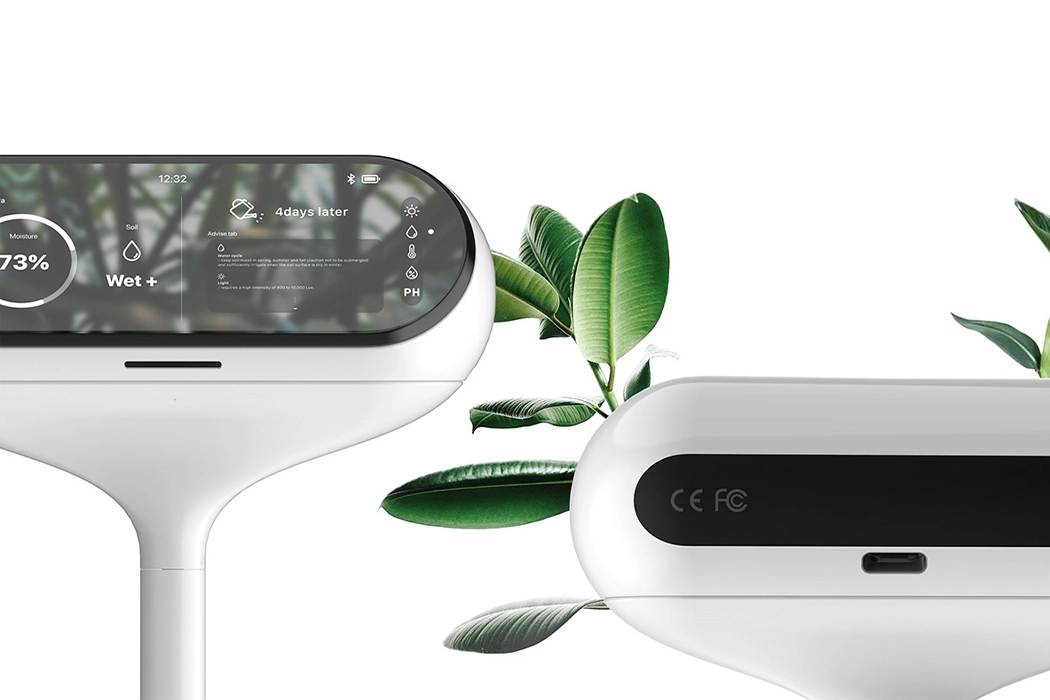 Botany，intelligence，auxiliary，probe，