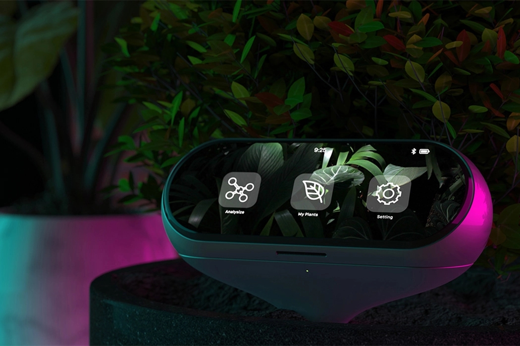 Botany，intelligence，auxiliary，probe，