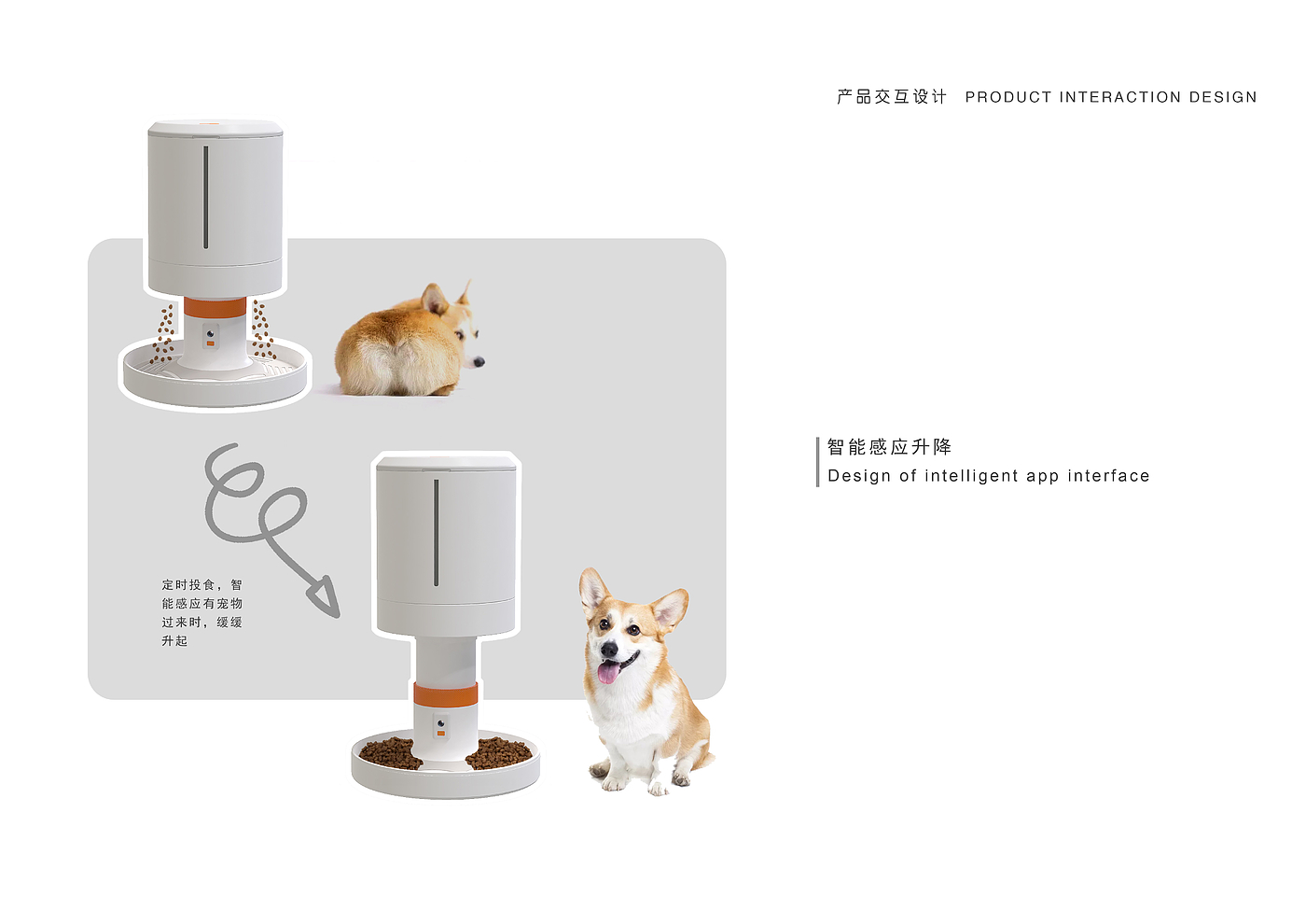 Pets，intelligence，interactive，Feeder，