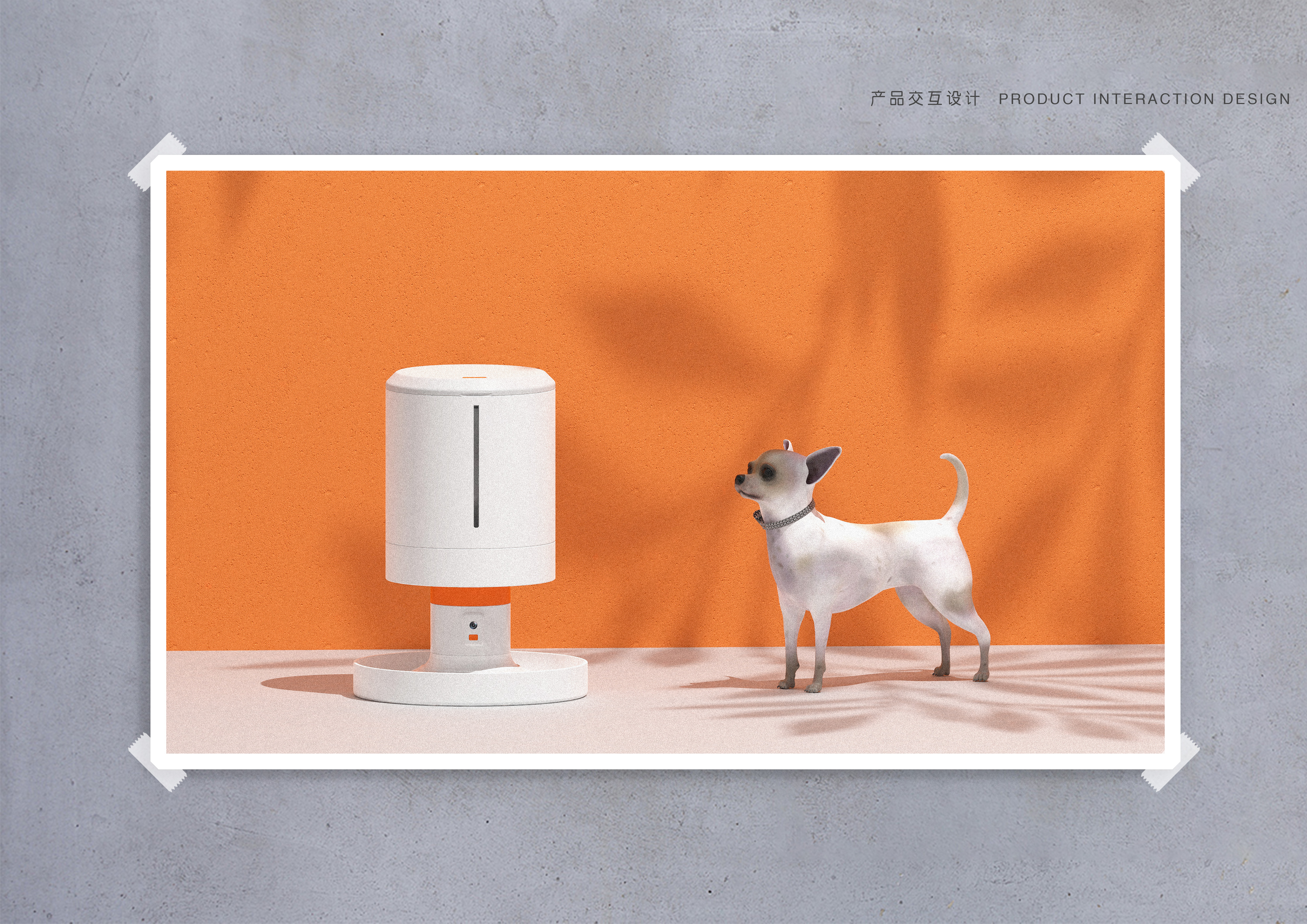 Pets，intelligence，interactive，Feeder，