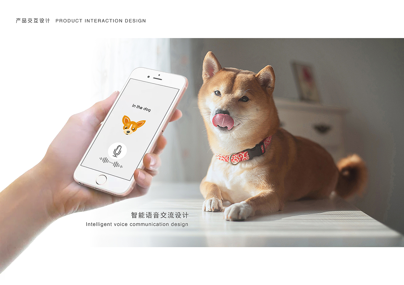 Pets，intelligence，interactive，Feeder，