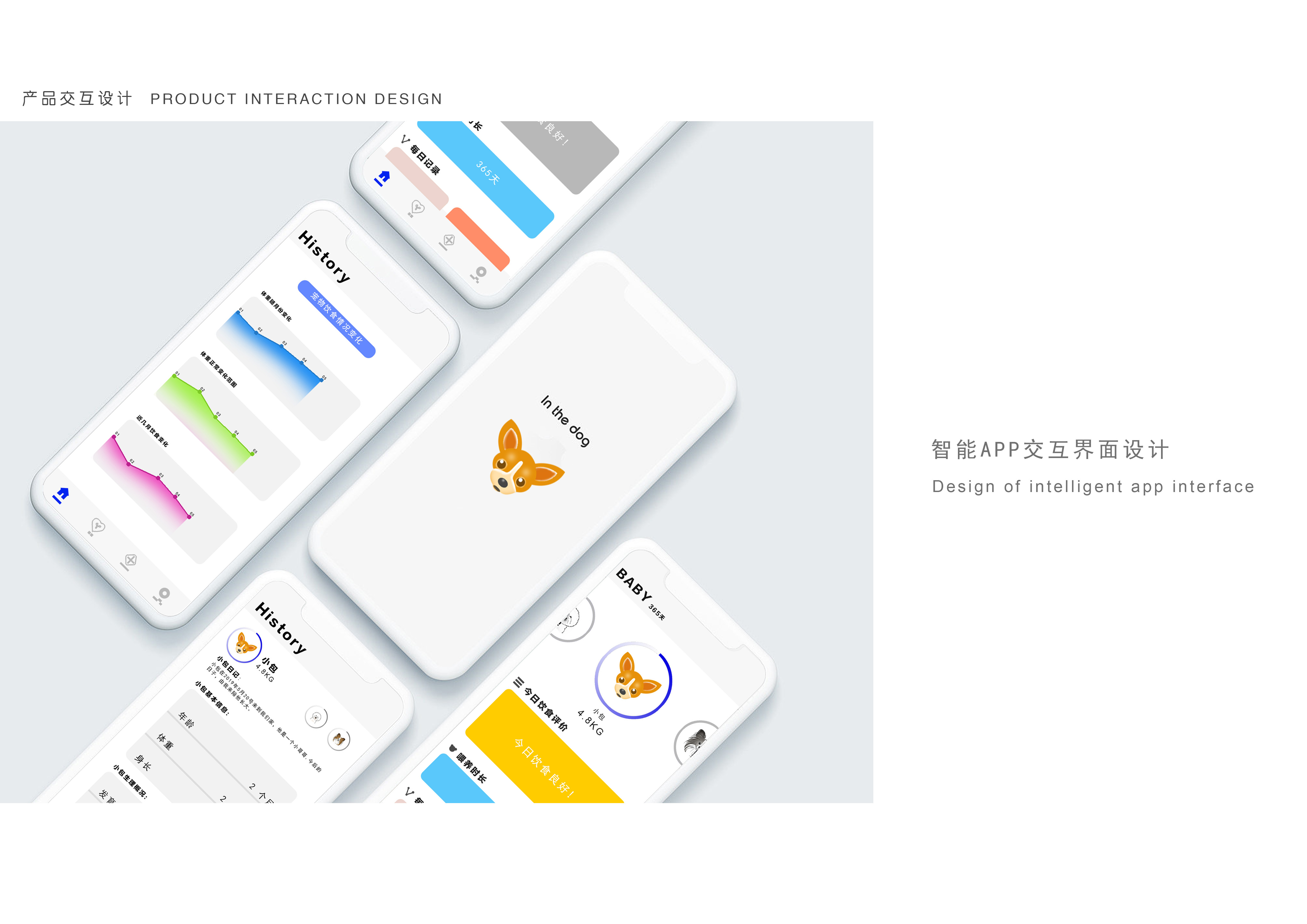 Pets，intelligence，interactive，Feeder，