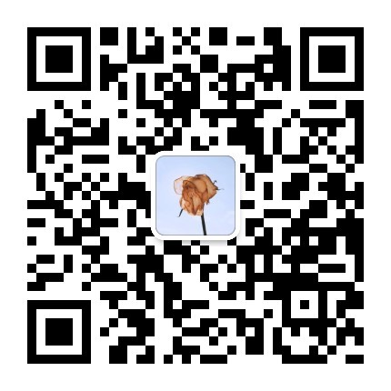 sound，intelligence，drum-shaped rattle，