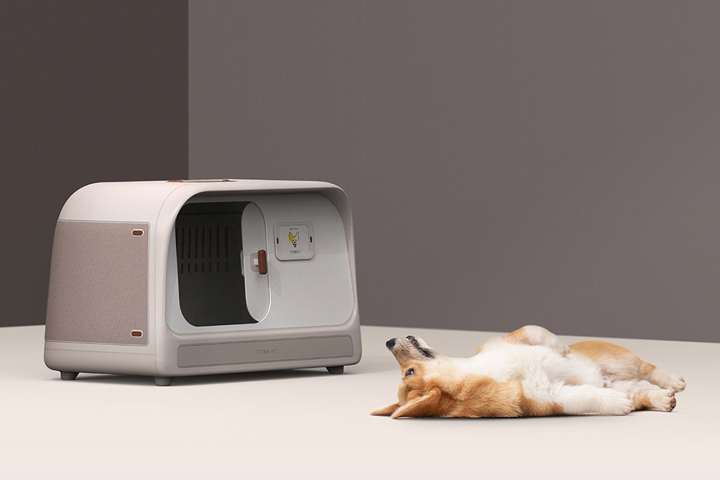 Pets，Emergency measures，Safe room，Cat and dog，Disaster emergency，tool kit，