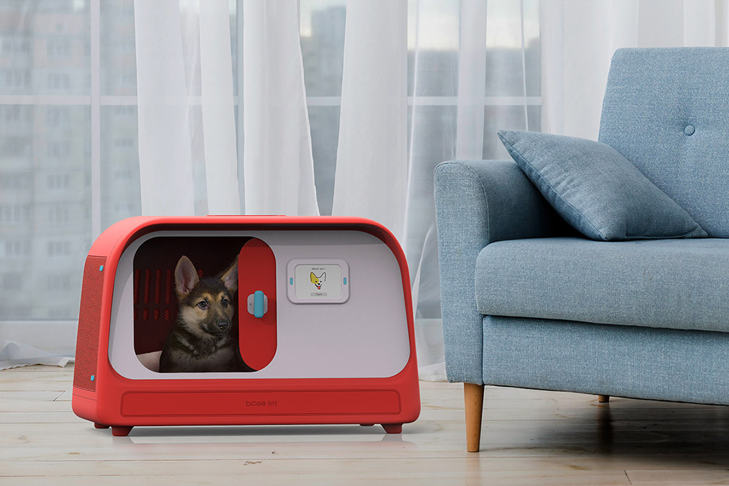 Pets，Emergency measures，Safe room，Cat and dog，Disaster emergency，tool kit，