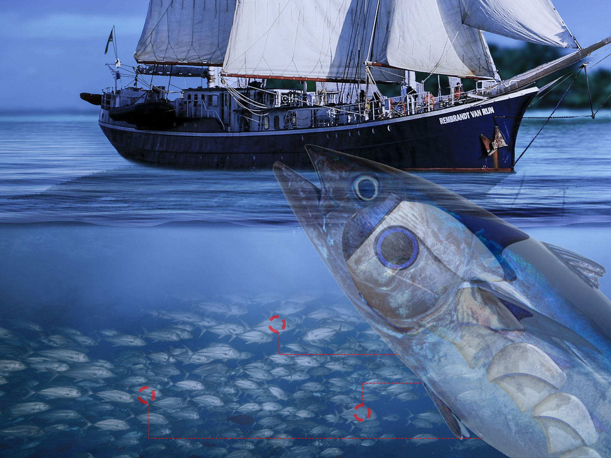 2020 red dot design concept award，Bionic positioning fish，app，gps，intelligence，