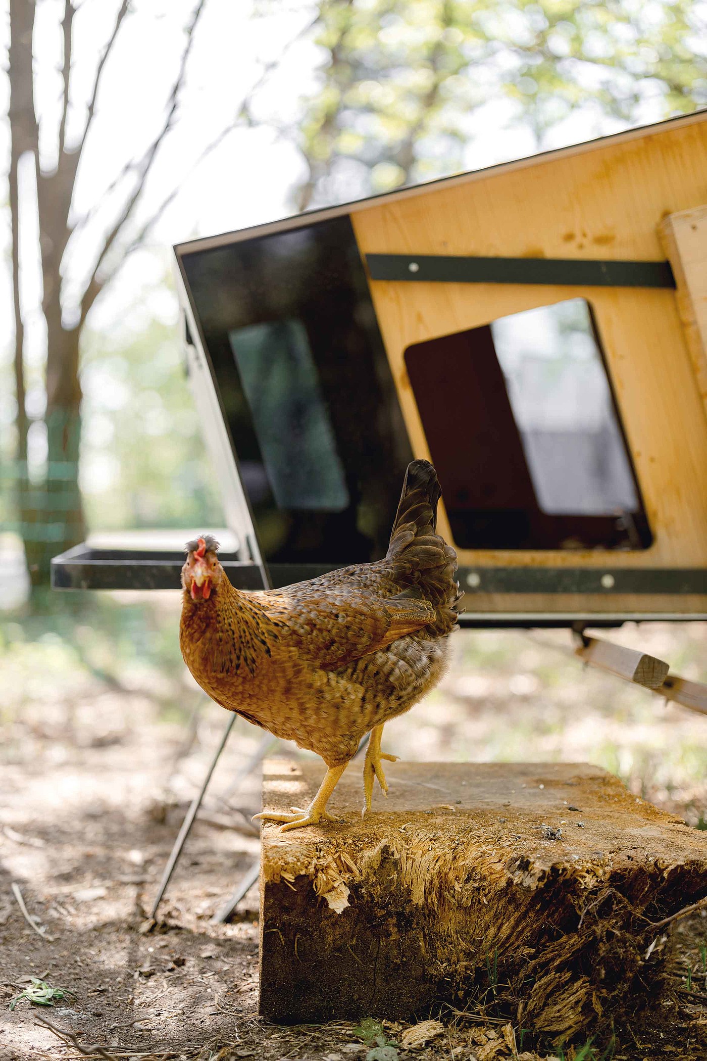 2020 red dot design concept award，Hedwig Chicken Coop，henhouse，