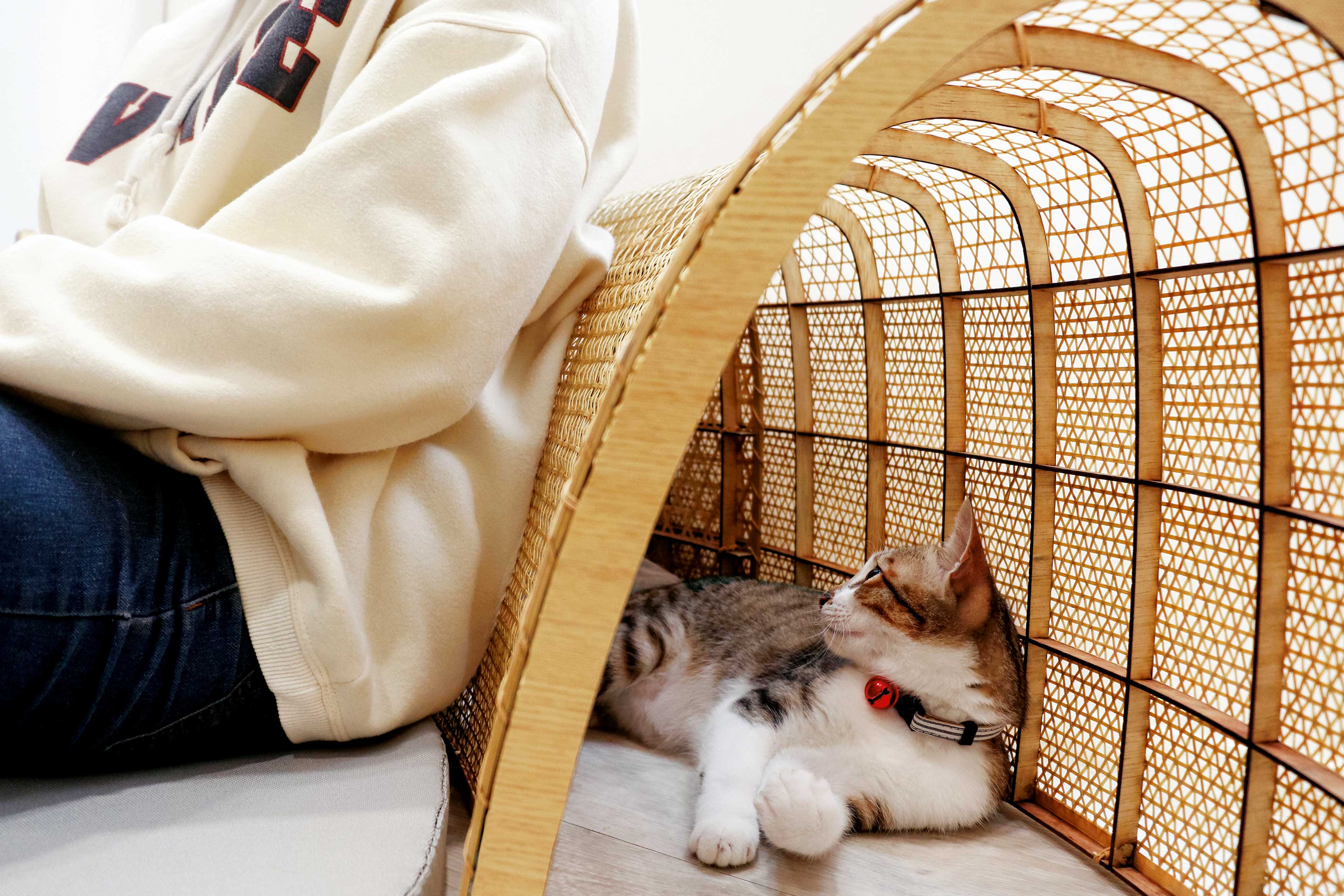 2020 red dot design concept award，Pets，Catyou In A Circle，Cat Furniture，Kitty，Cat tunnel，