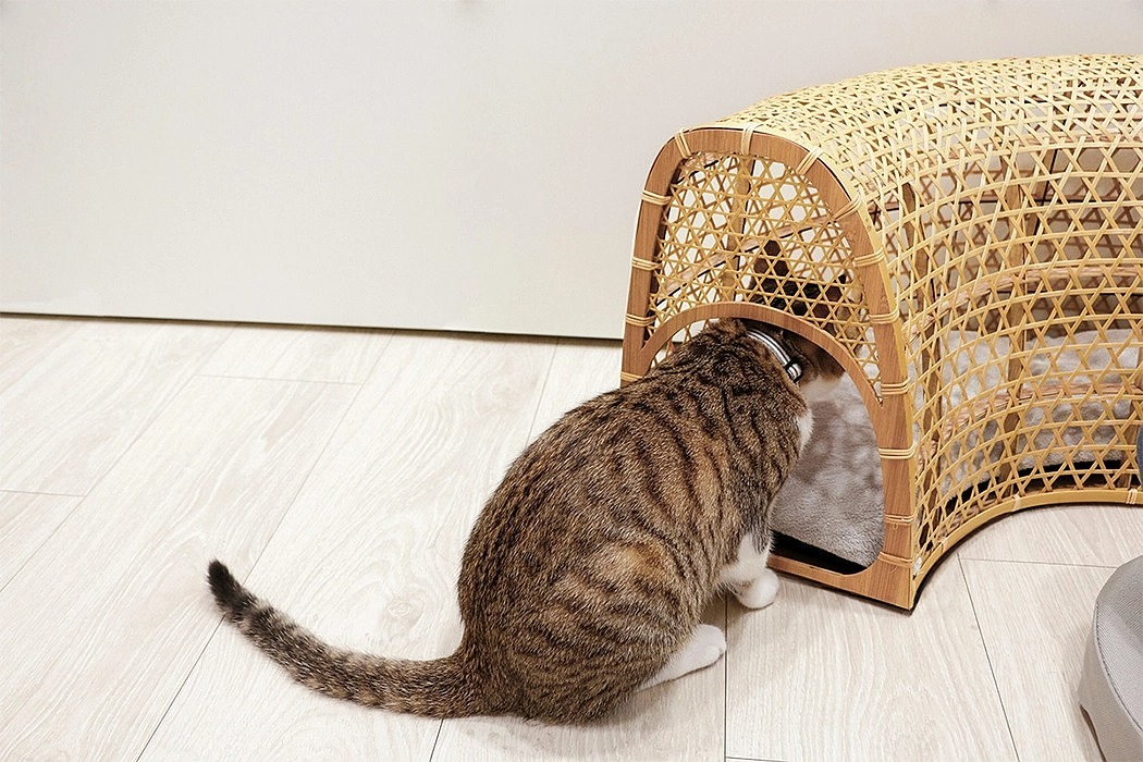 2020 red dot design concept award，Pets，Catyou In A Circle，Cat Furniture，Kitty，Cat tunnel，