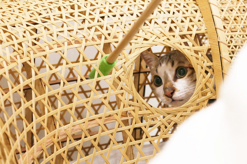 2020 red dot design concept award，Pets，Catyou In A Circle，Cat Furniture，Kitty，Cat tunnel，