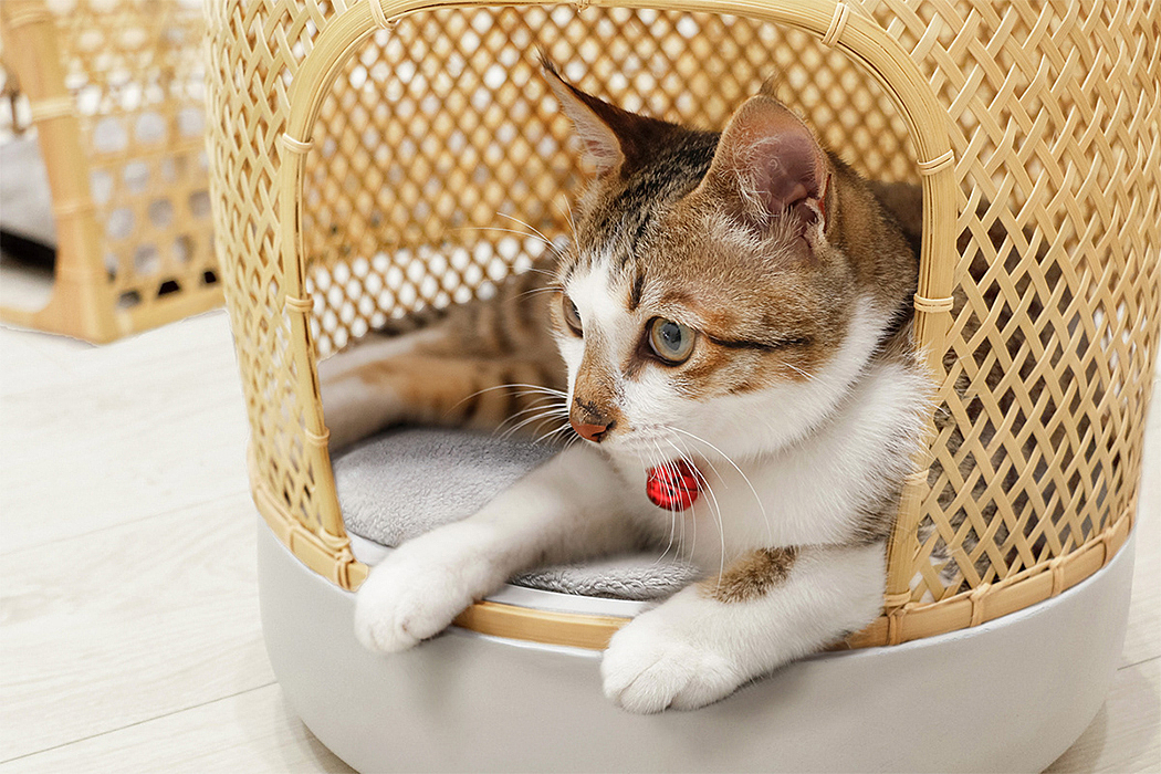 2020 red dot design concept award，Pets，Catyou In A Circle，Cat Furniture，Kitty，Cat tunnel，