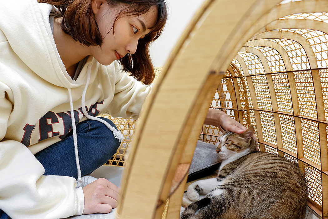 2020 red dot design concept award，Pets，Catyou In A Circle，Cat Furniture，Kitty，Cat tunnel，