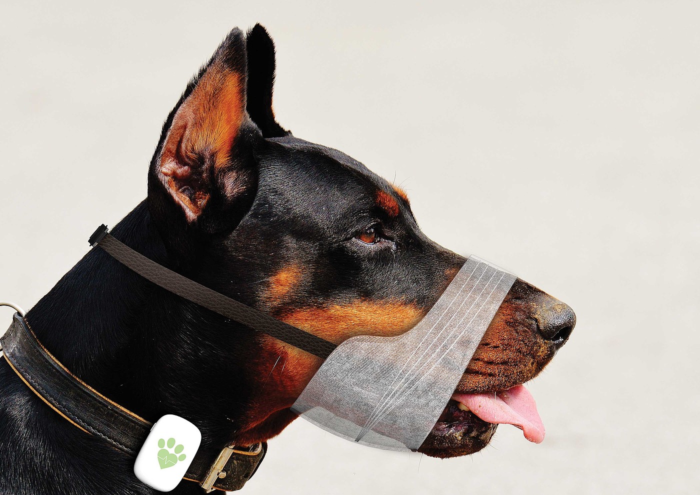 2020 red dot design concept award，Joyda，Pets，Dog，sensor，Anti bite，Dog mouth cover，