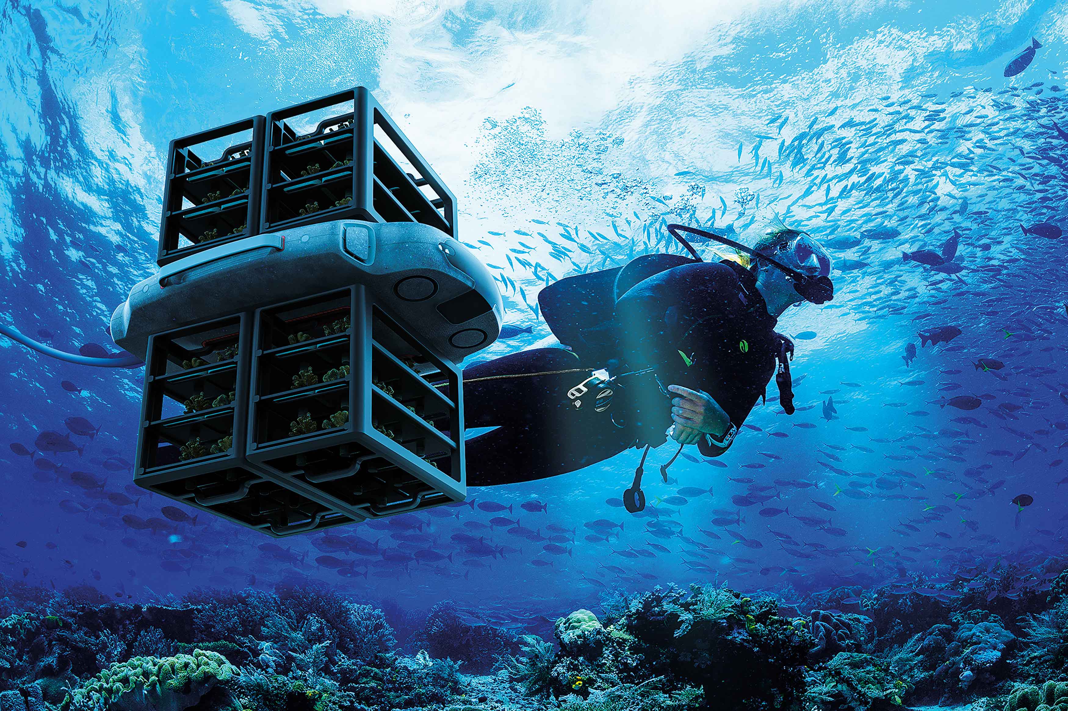 2020 red dot design concept award，Coral restoration system，Nemo，Coral Restoration，ocean，environment protection，