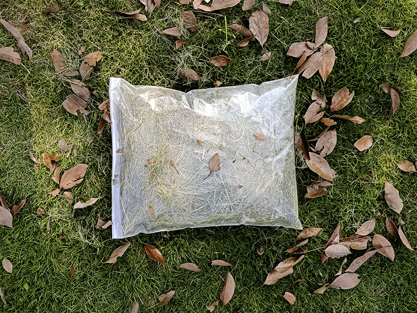 pillow，