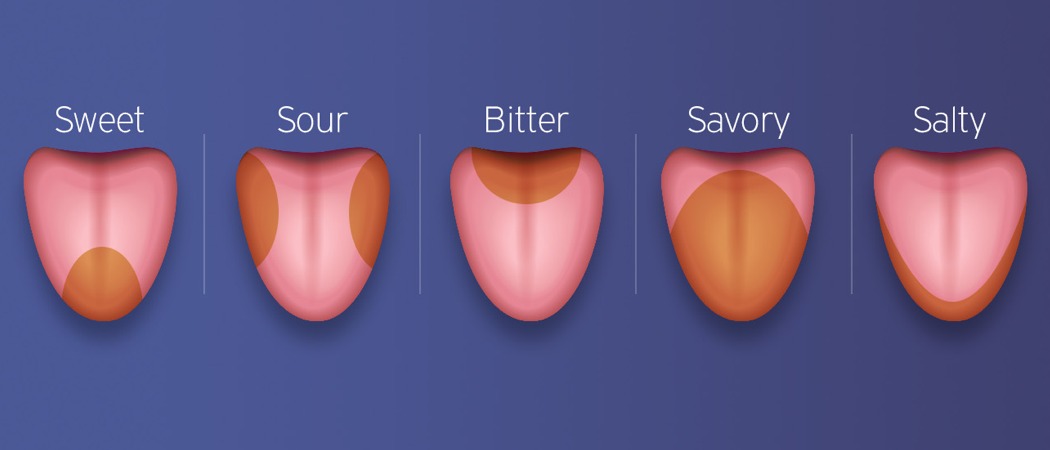 Spoon，Micro current，delicious，