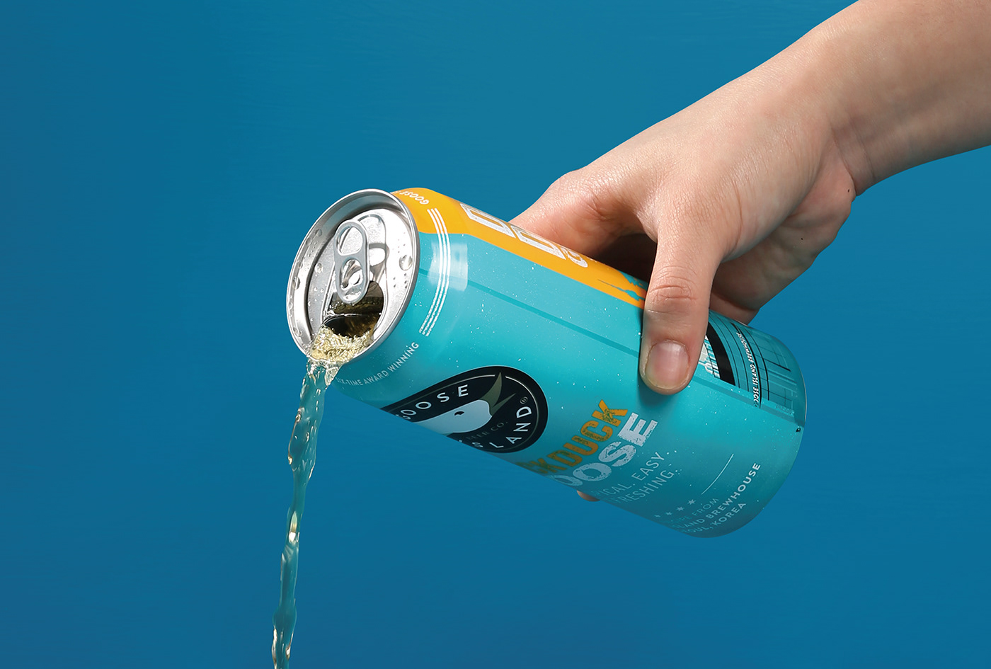 DuckDuckGoose，packing design，blue，