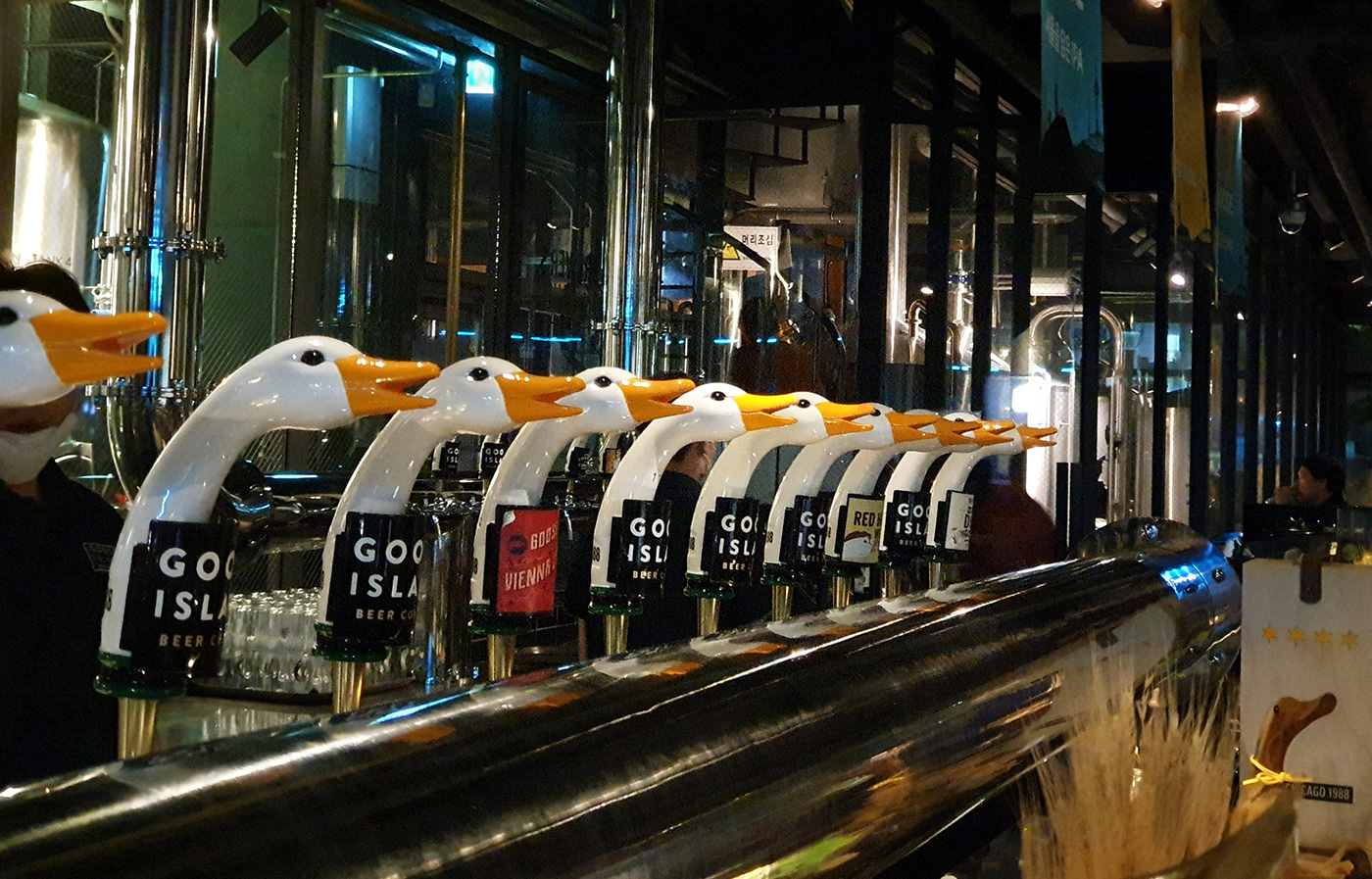 DuckDuckGoose，packing design，blue，