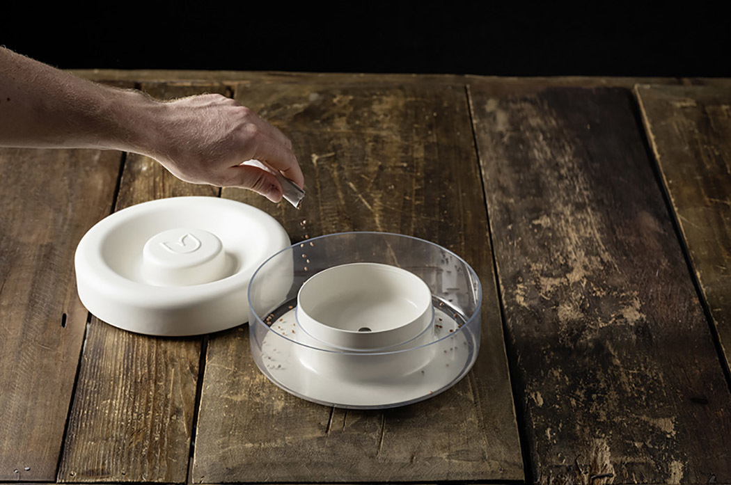 Suitable environment，Bean sprouts，grow，remote control，